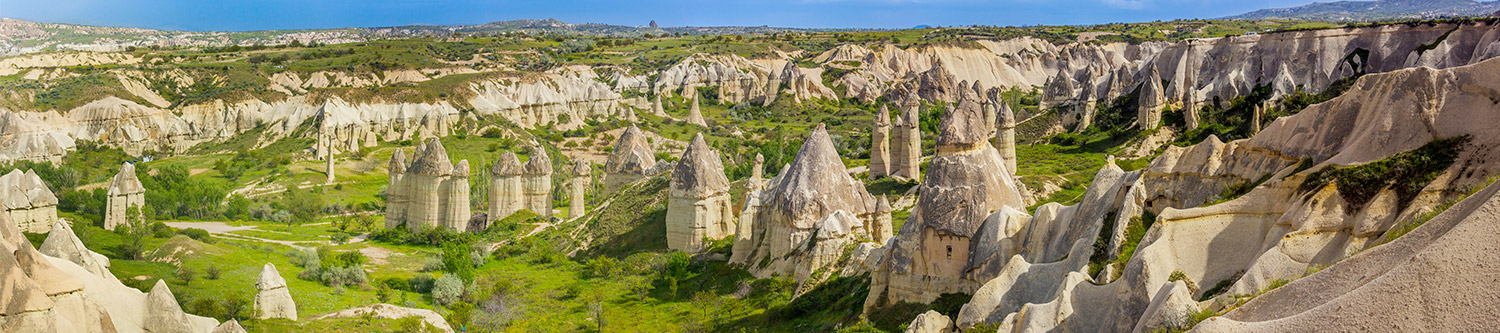 Ambiance Rapido Vans