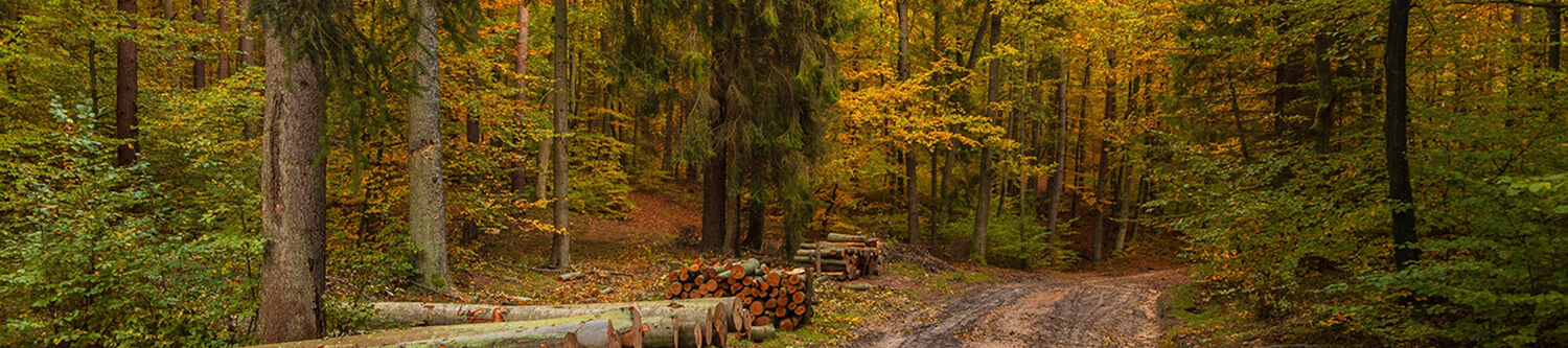 Ambiance Rapido Série 6F